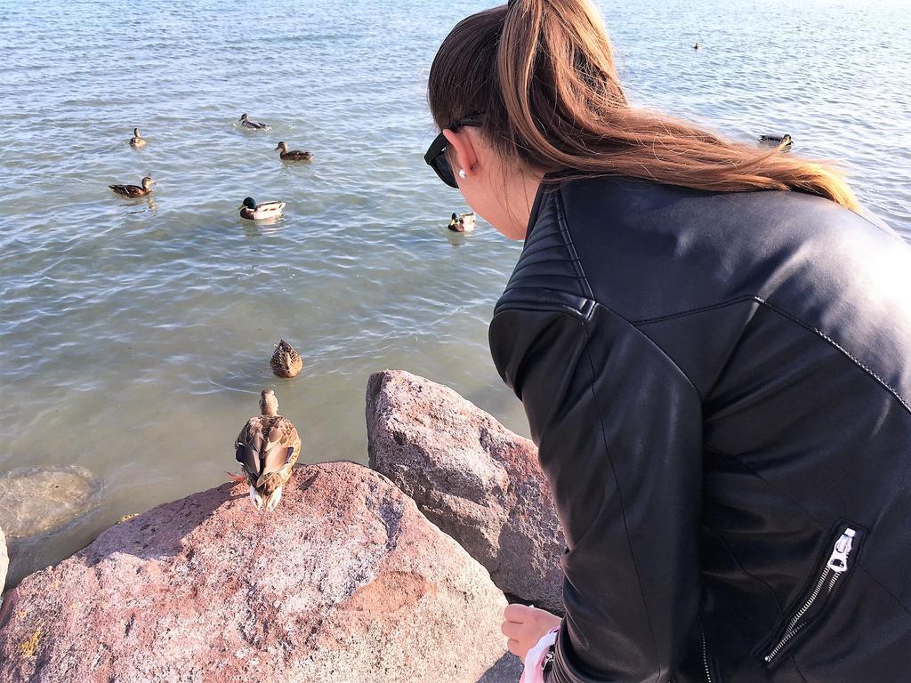Tulipan Apartman Balatonalmádi Eksteriør billede